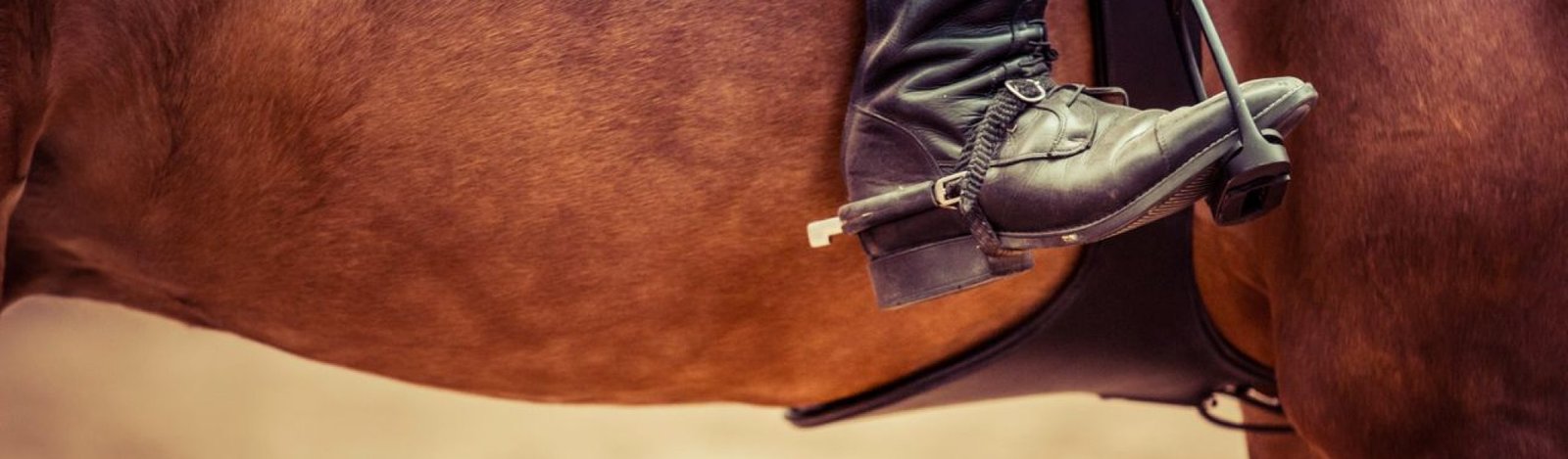 Detailed view of a rider's boot in a stirrup on a horse, showcasing equestrian gear.
